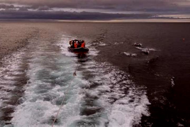 escort Eyemouth
