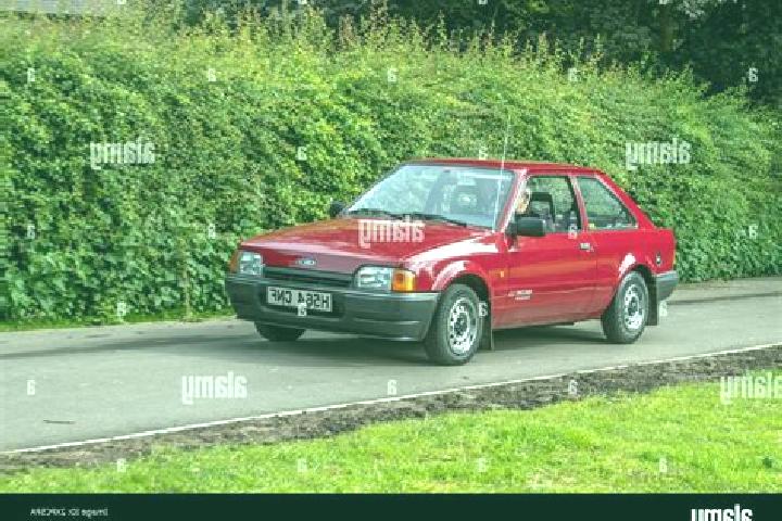 escort Ezinge