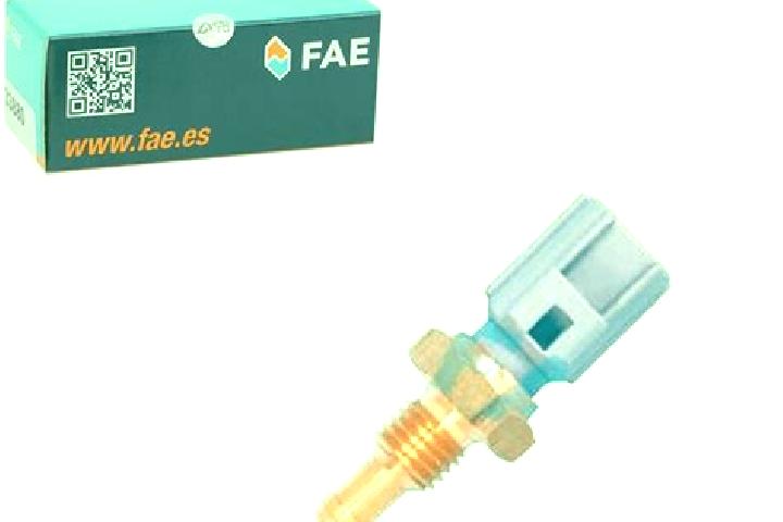 escort Fae