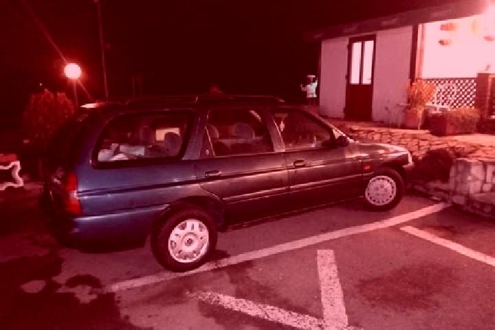 escort Fagaras