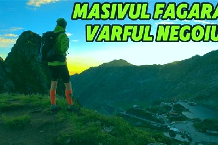 escort Fagarasu Nou
