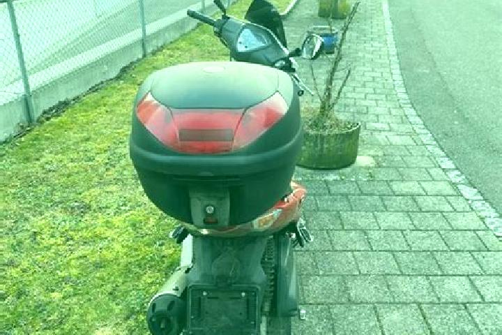 escort Fahrweid (suedl. Teil)