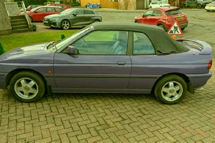 escort Falfield