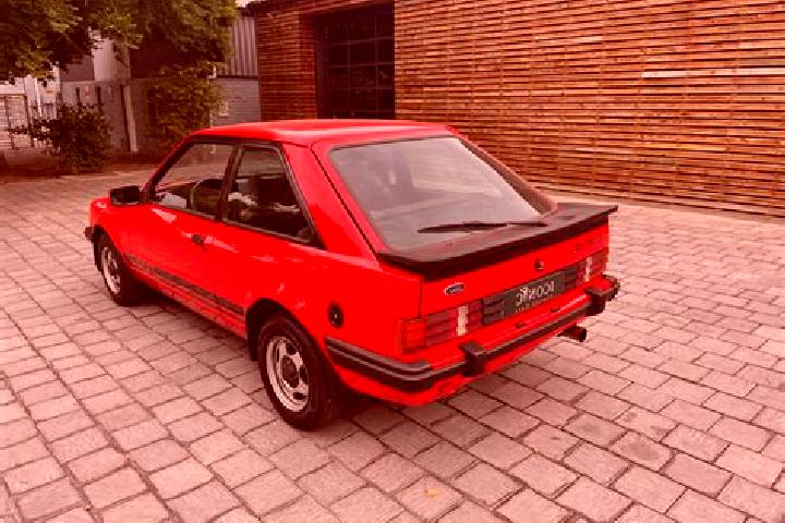 escort Falkow