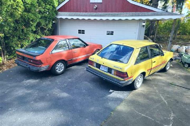 escort Falkville