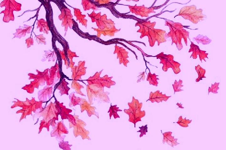 escort Fall Branch