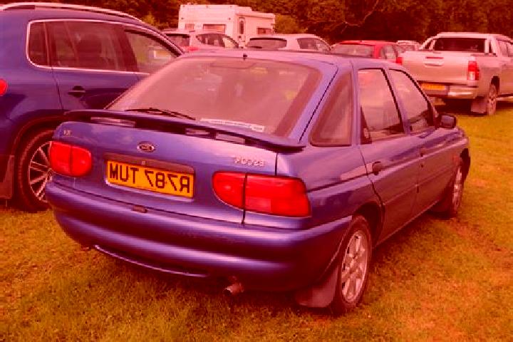 escort Fanzolo