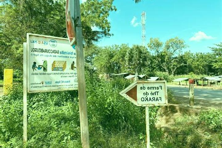 escort Farako-Moambasso