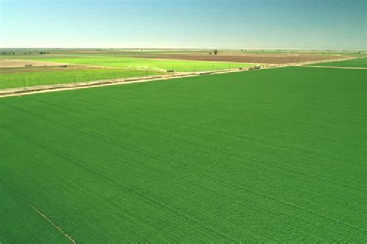 escort Farmland