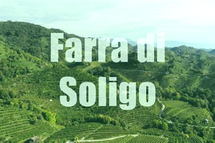 escort Farra di Soligo