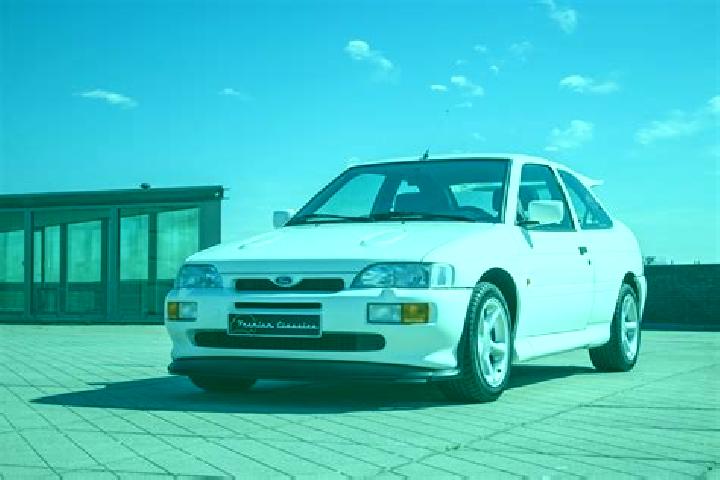 escort Fedderwarden