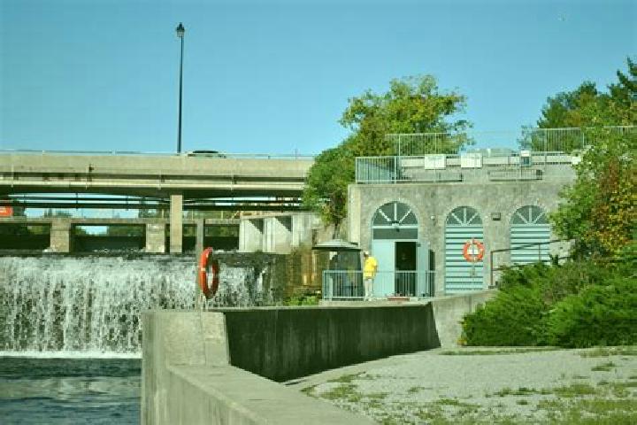 escort Fenelon Falls