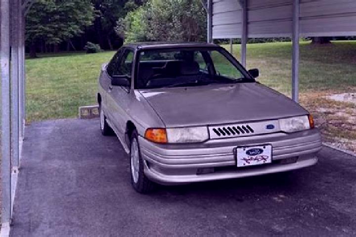escort Fernwood