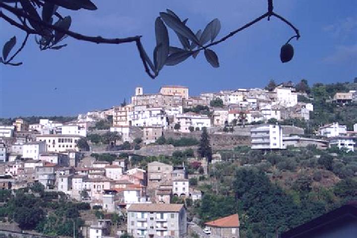escort Feroleto Antico