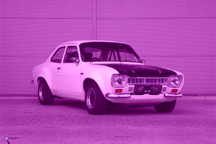 escort Fevik