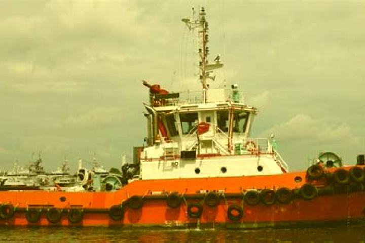escort Fifi