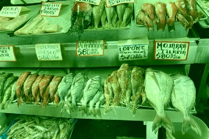 escort Fish Town