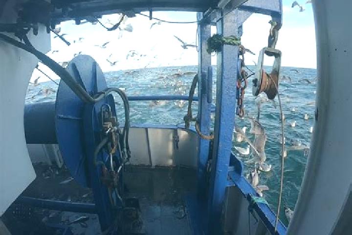 escort Fishers