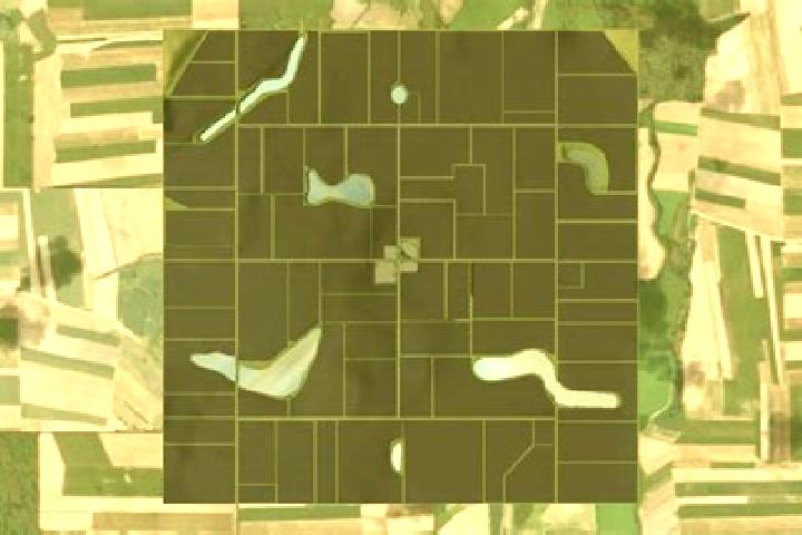 escort Flatlands