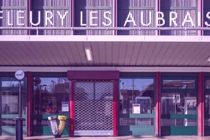escort Fleury-les-Aubrais