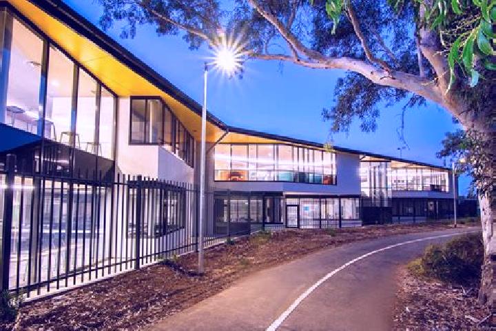 escort Flinders Park