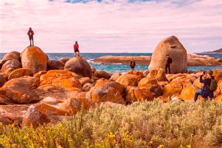 escort Flinders View