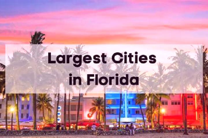 escort Florida City