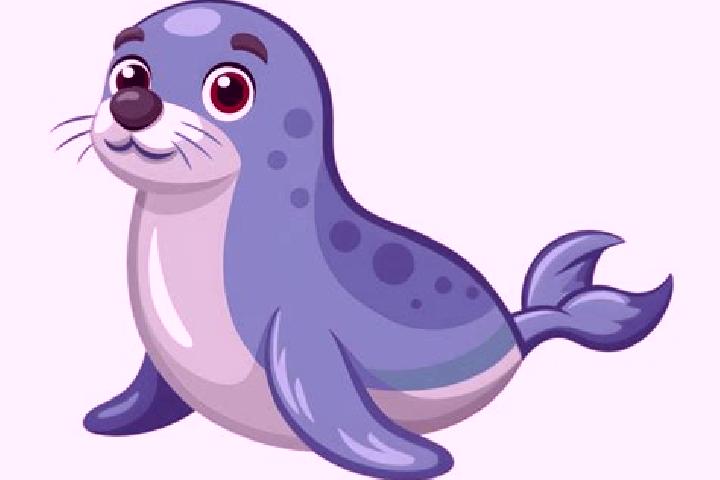 escort Foca