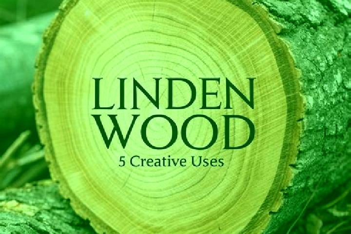 escort Fohren-Linden