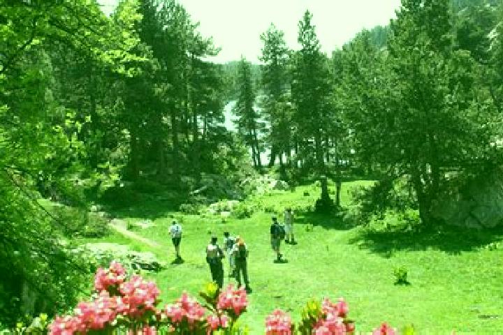 escort Font-Romeu-Odeillo-Via