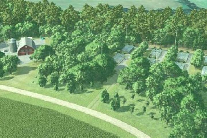 escort Forest Acres