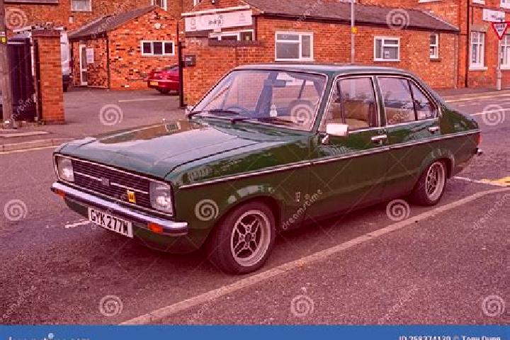 escort Forest Hill North