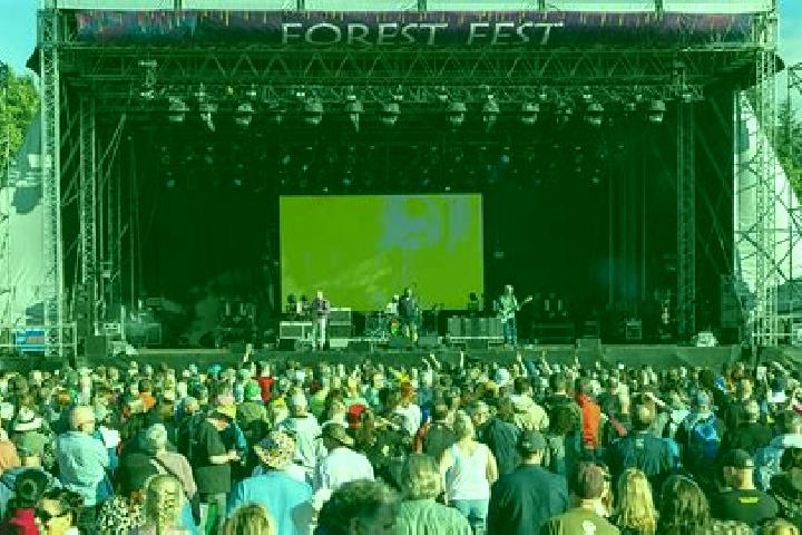 escort Forest Meadows