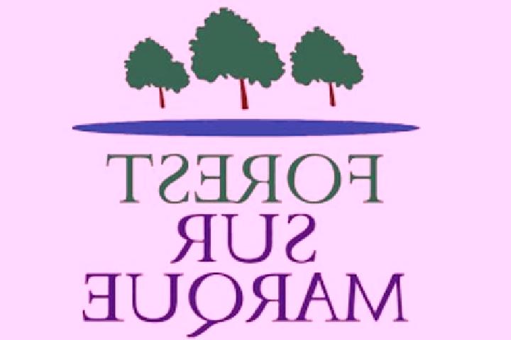 escort Forest-sur-Marque
