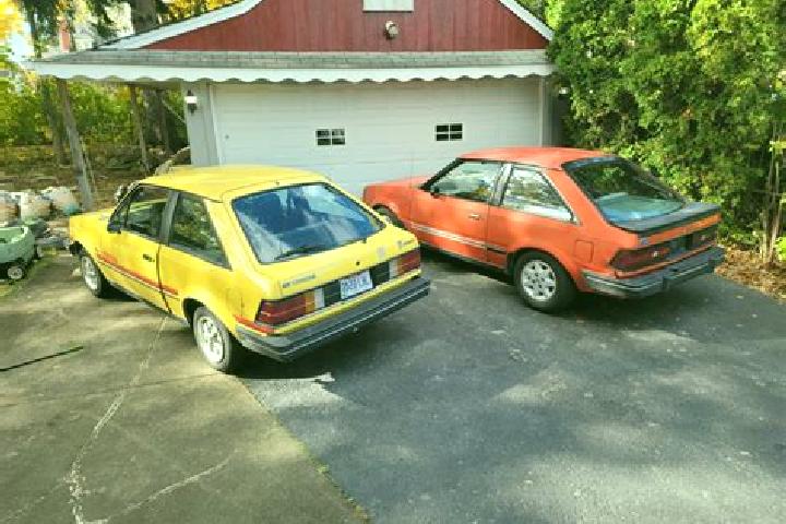 escort Forestbrook