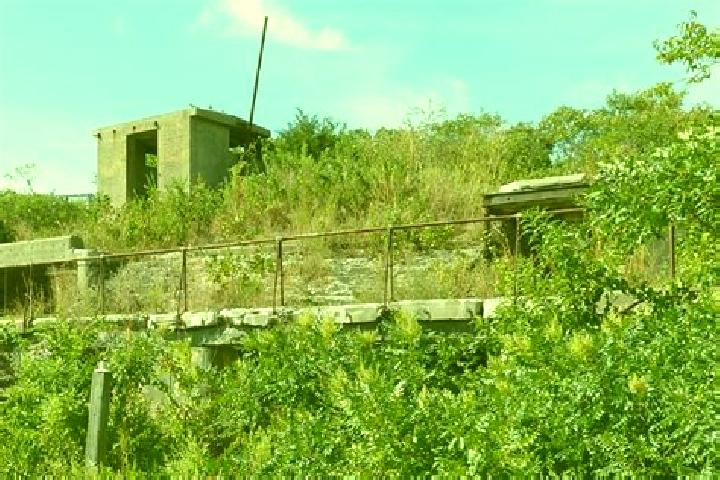 escort Fort Hancock