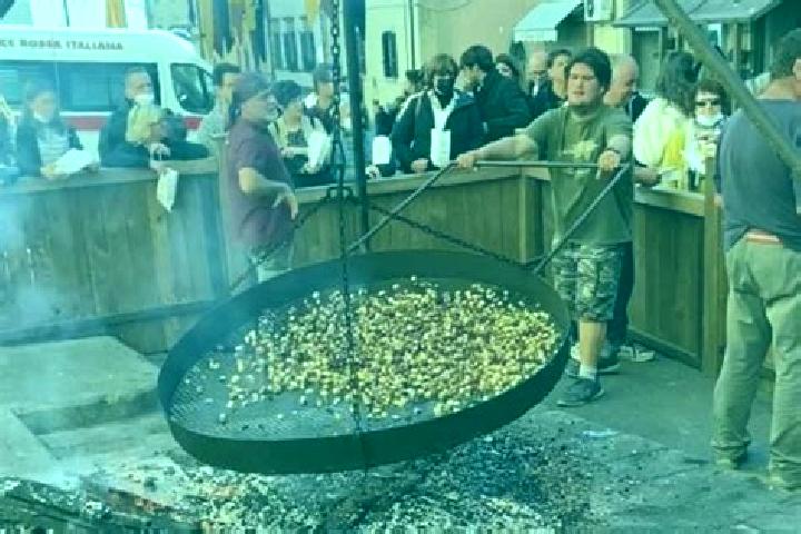 escort Fossato Serralta