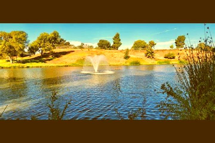 escort Fountain Lake