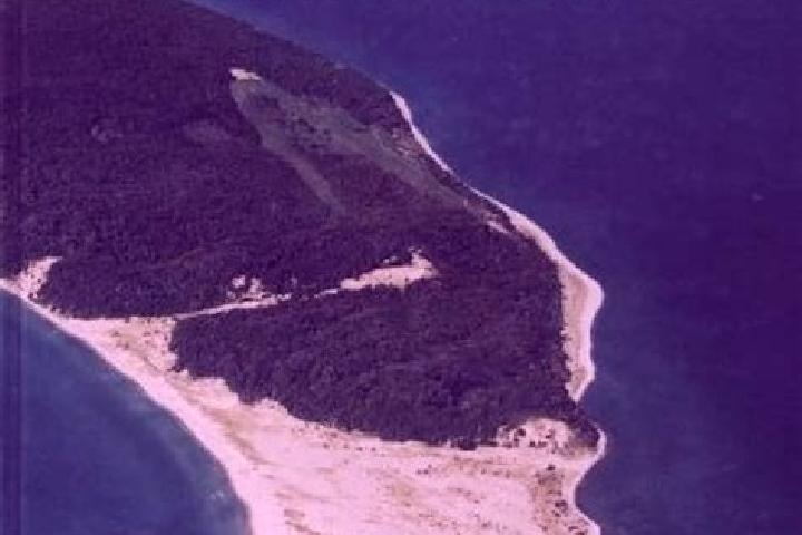 escort Fox Island