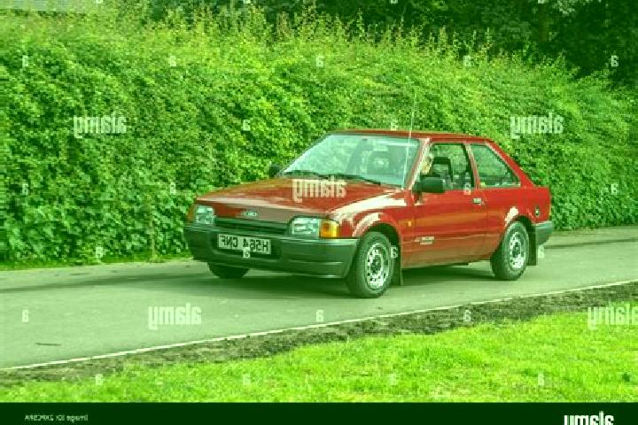 escort Foxfire