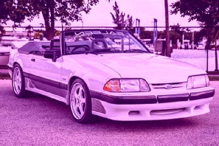 escort Foz-Calanda