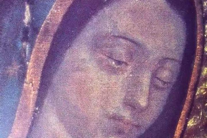 escort Fraccion de Guadalupe