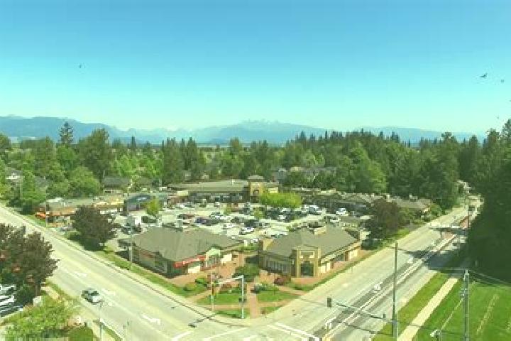 escort Fraser Heights