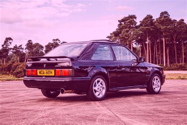 escort Frasnes