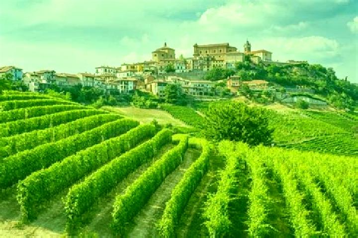 escort Frassinello Monferrato
