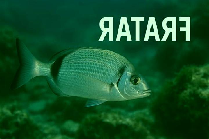 escort Fratar