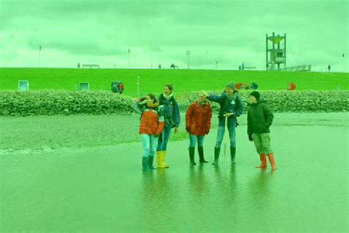 escort Friedrichskoog