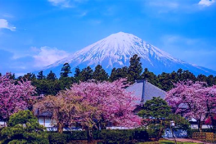 escort Fujinomiya