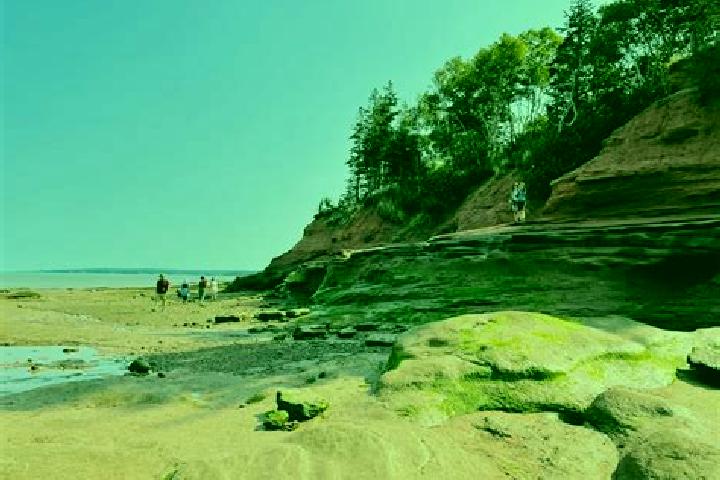 escort Fundy Shores