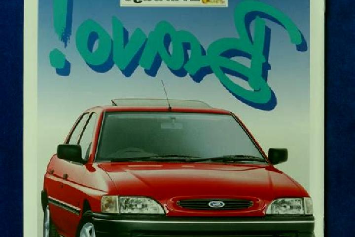 escort Gado Bravo